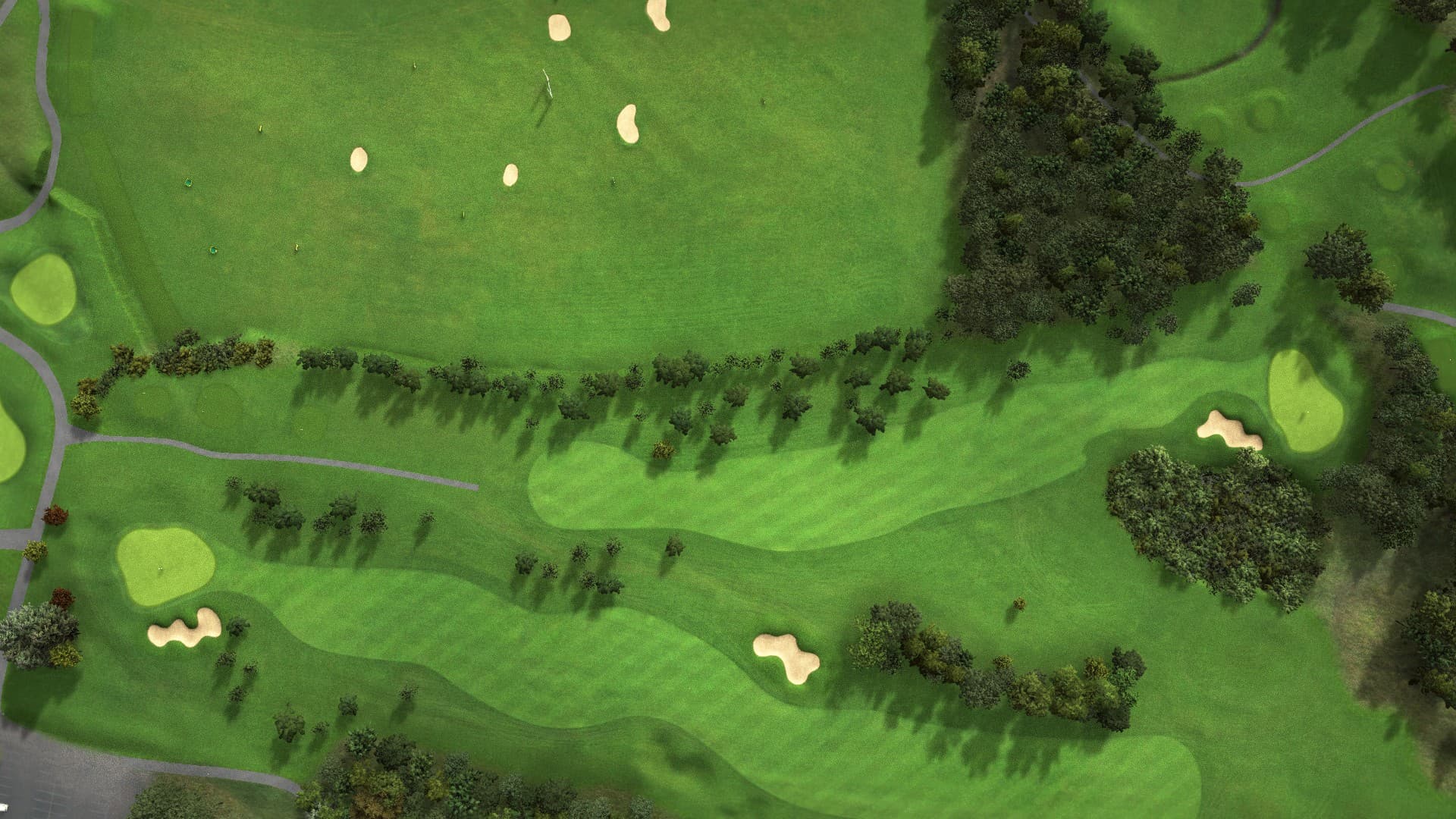 Hole 10 at Ballyneety
