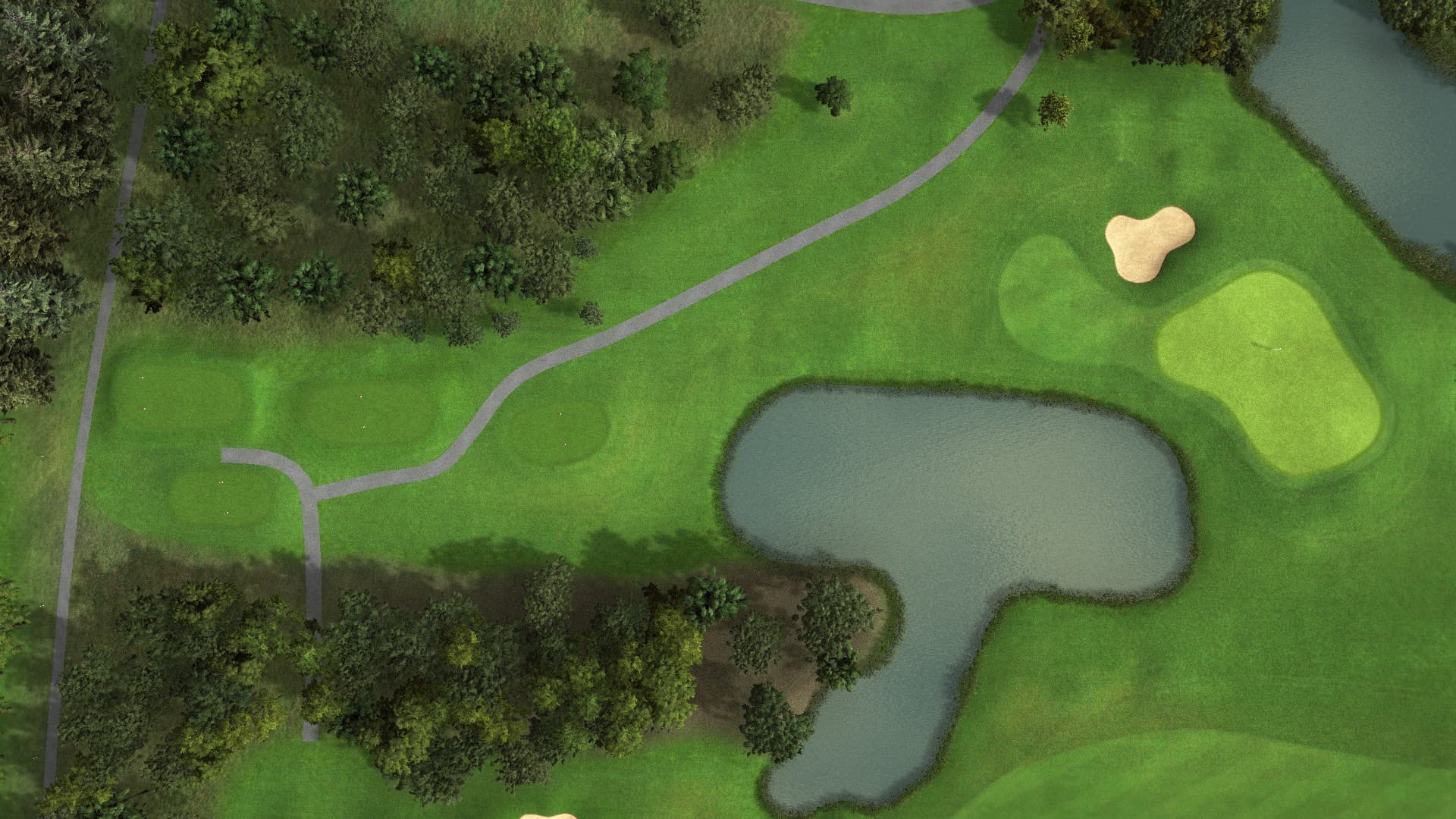 Hole 13 at Ballyneety