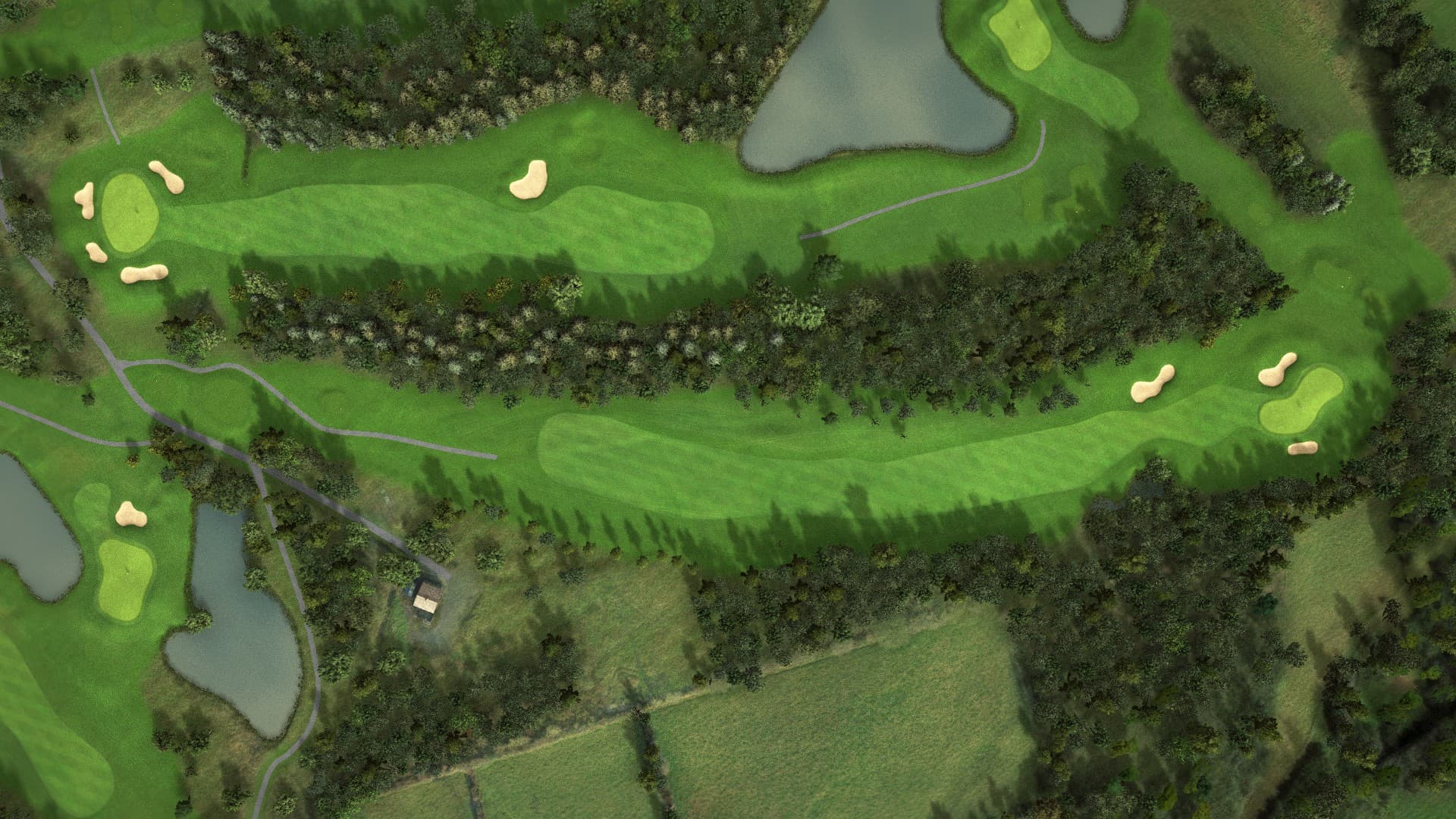 Hole 14 at Ballyneety