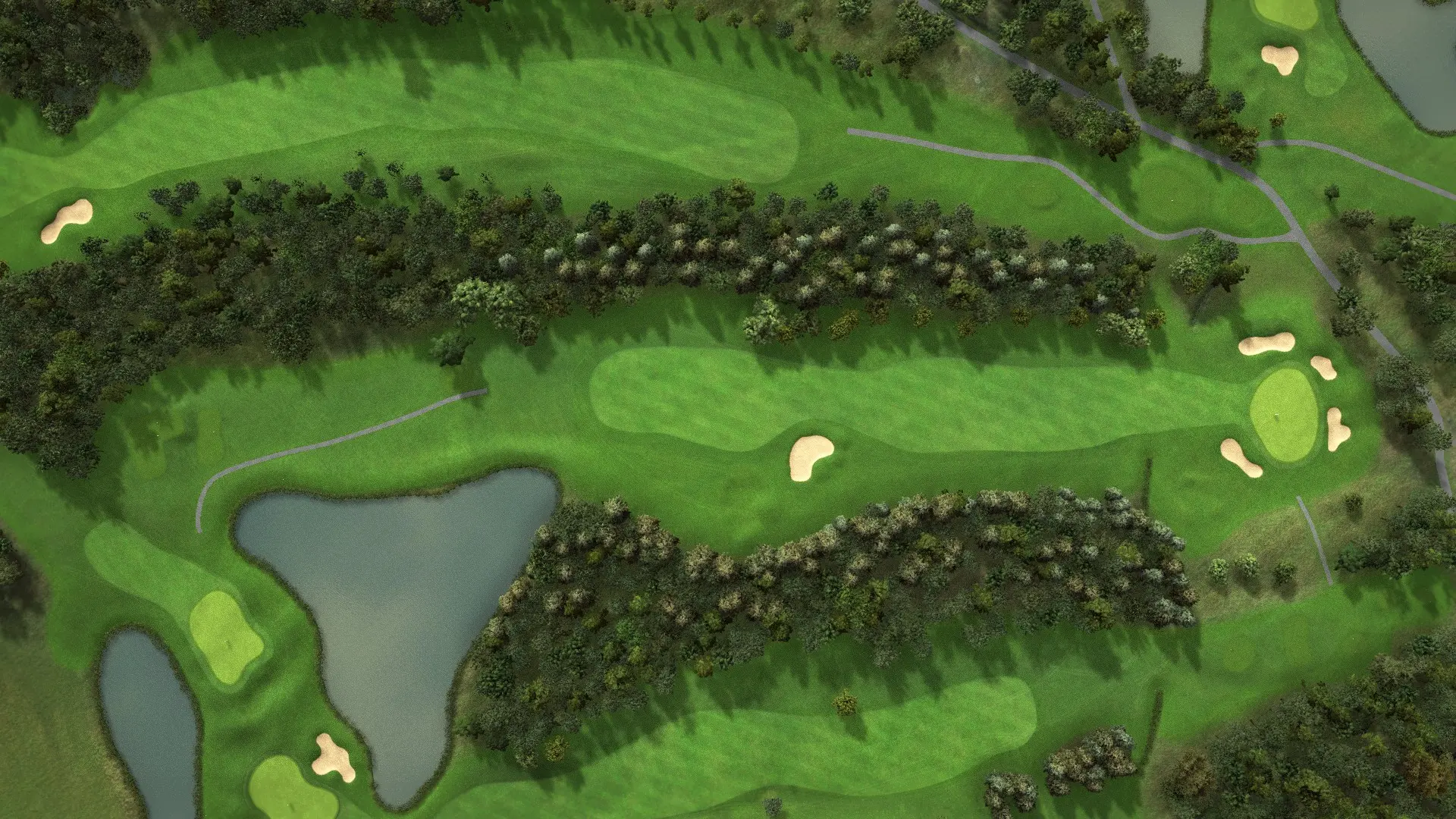 Hole 16 at Ballyneety