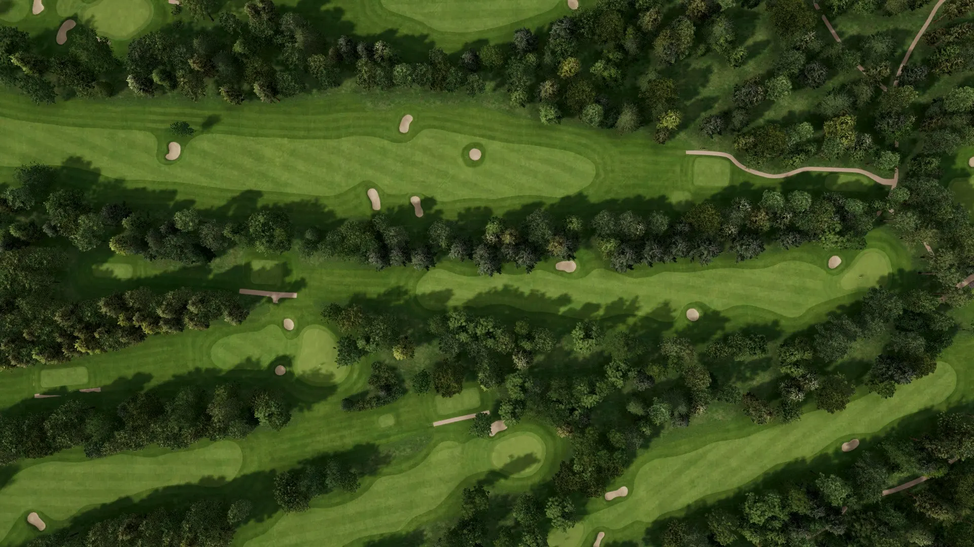Hole 15
