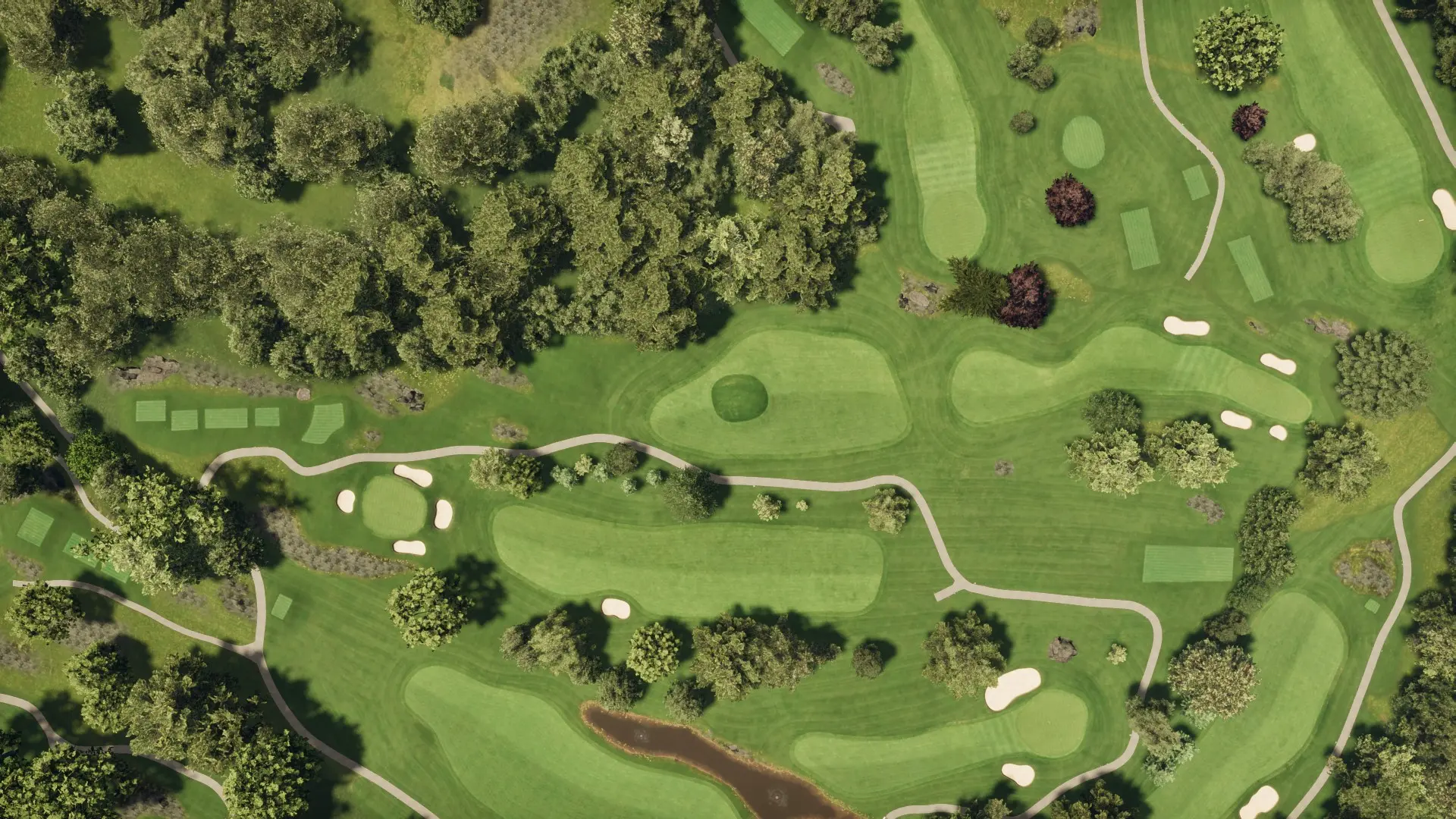 Hole 8