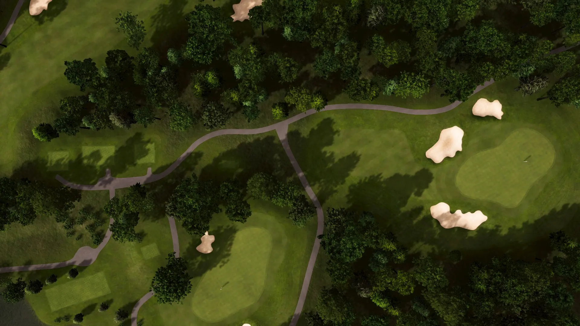 Hole 15 at The Duke Club