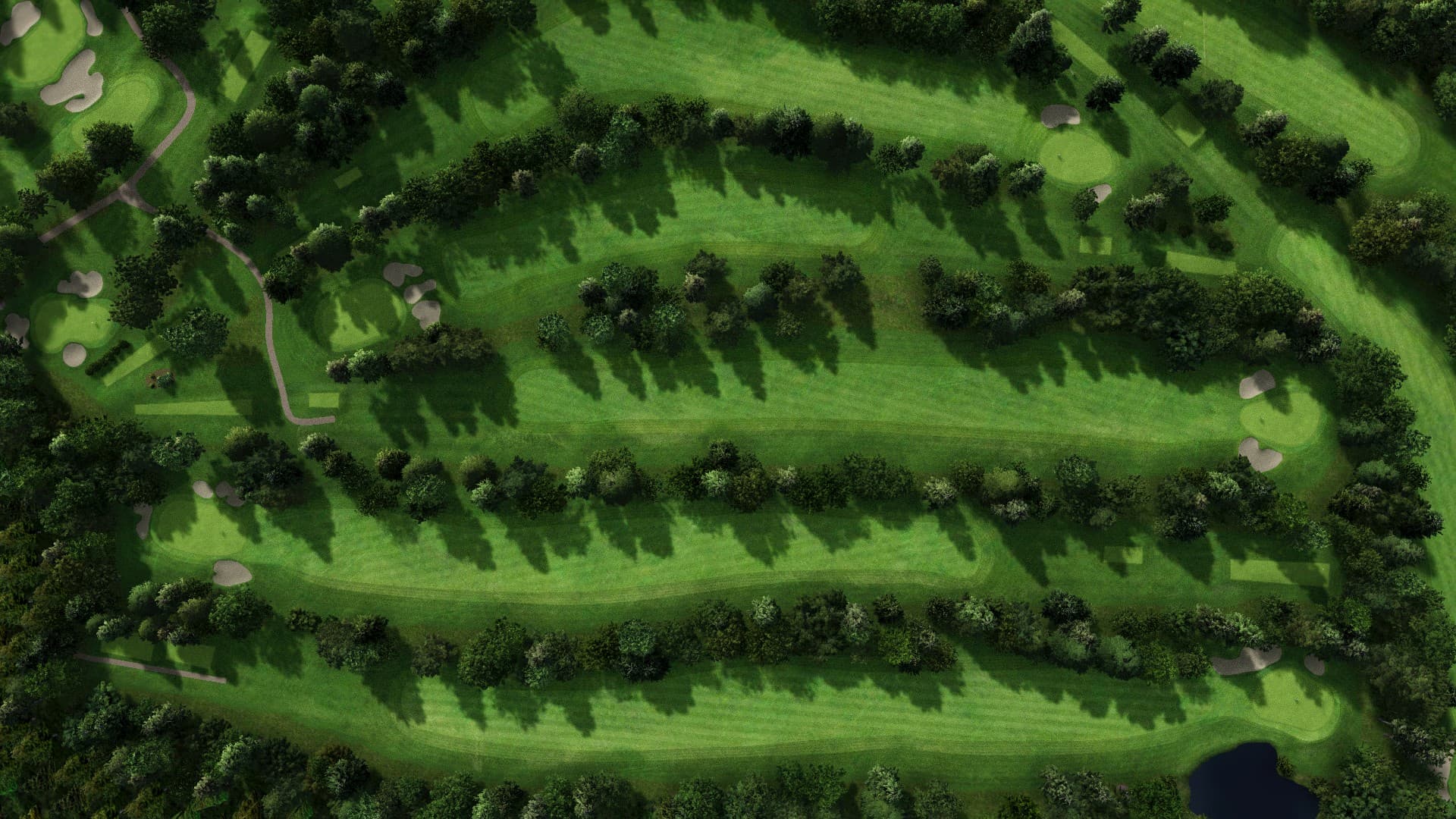 Hole 5