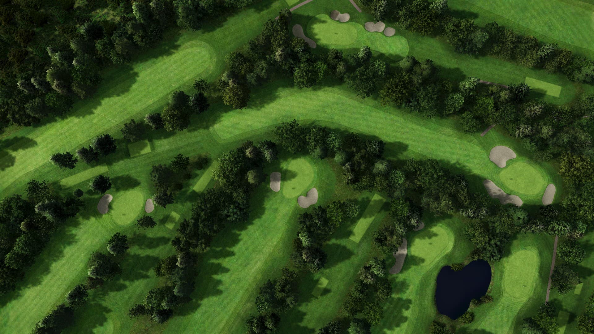 Hole 8