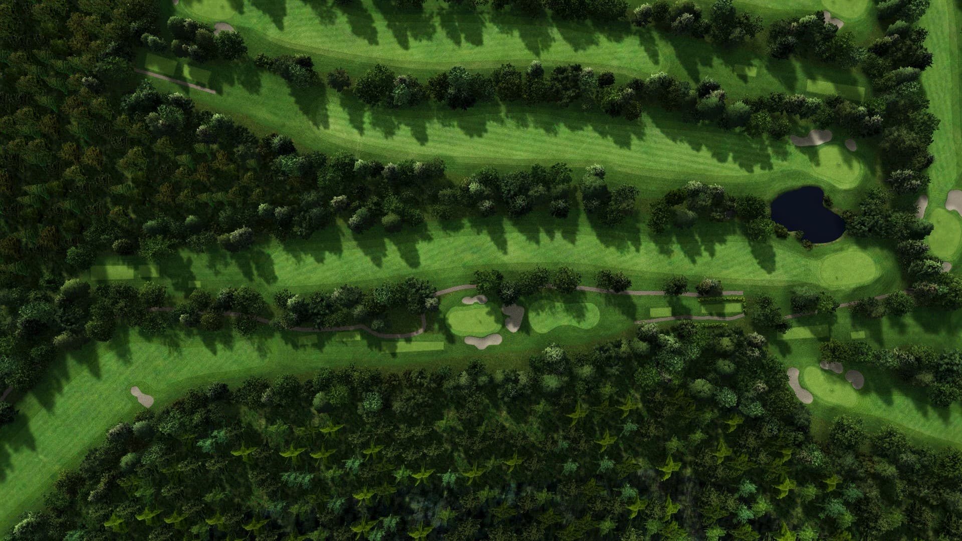 Hole 14