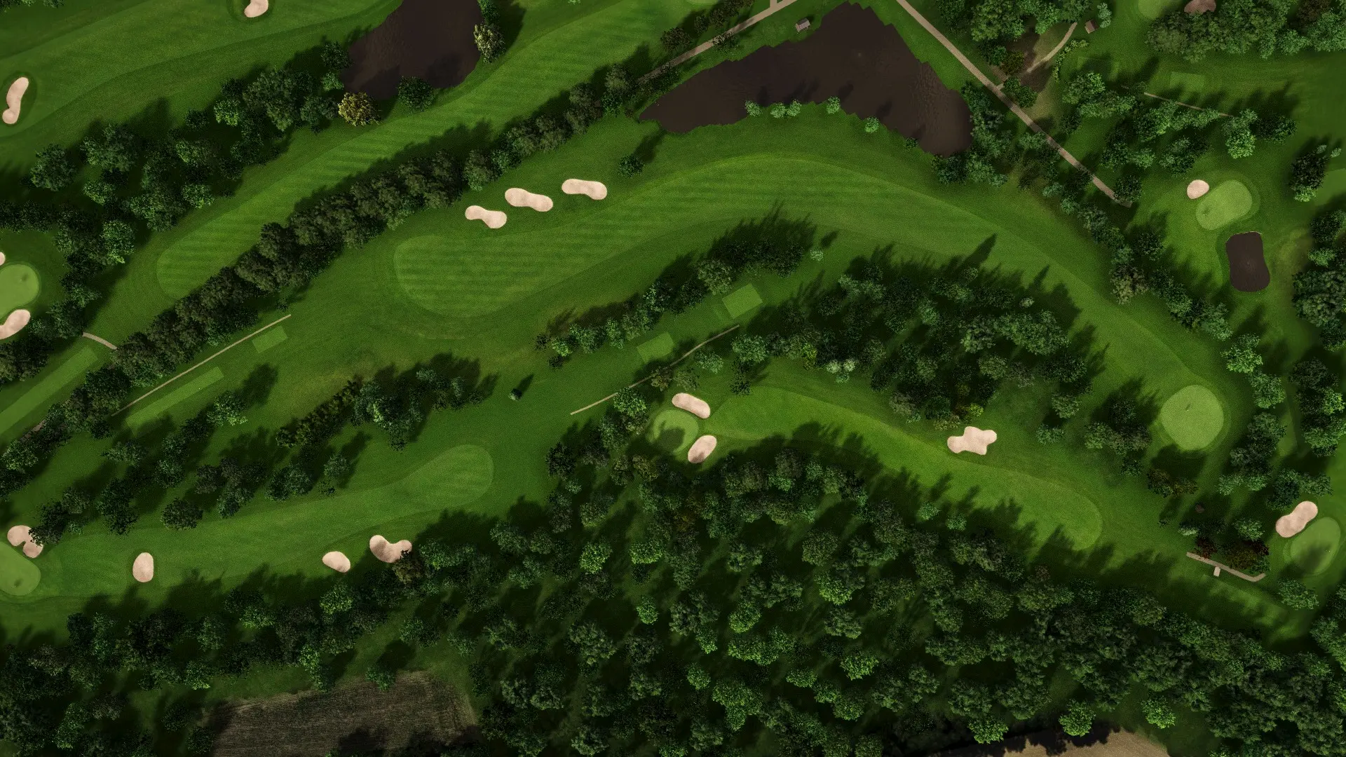 Hole 11
