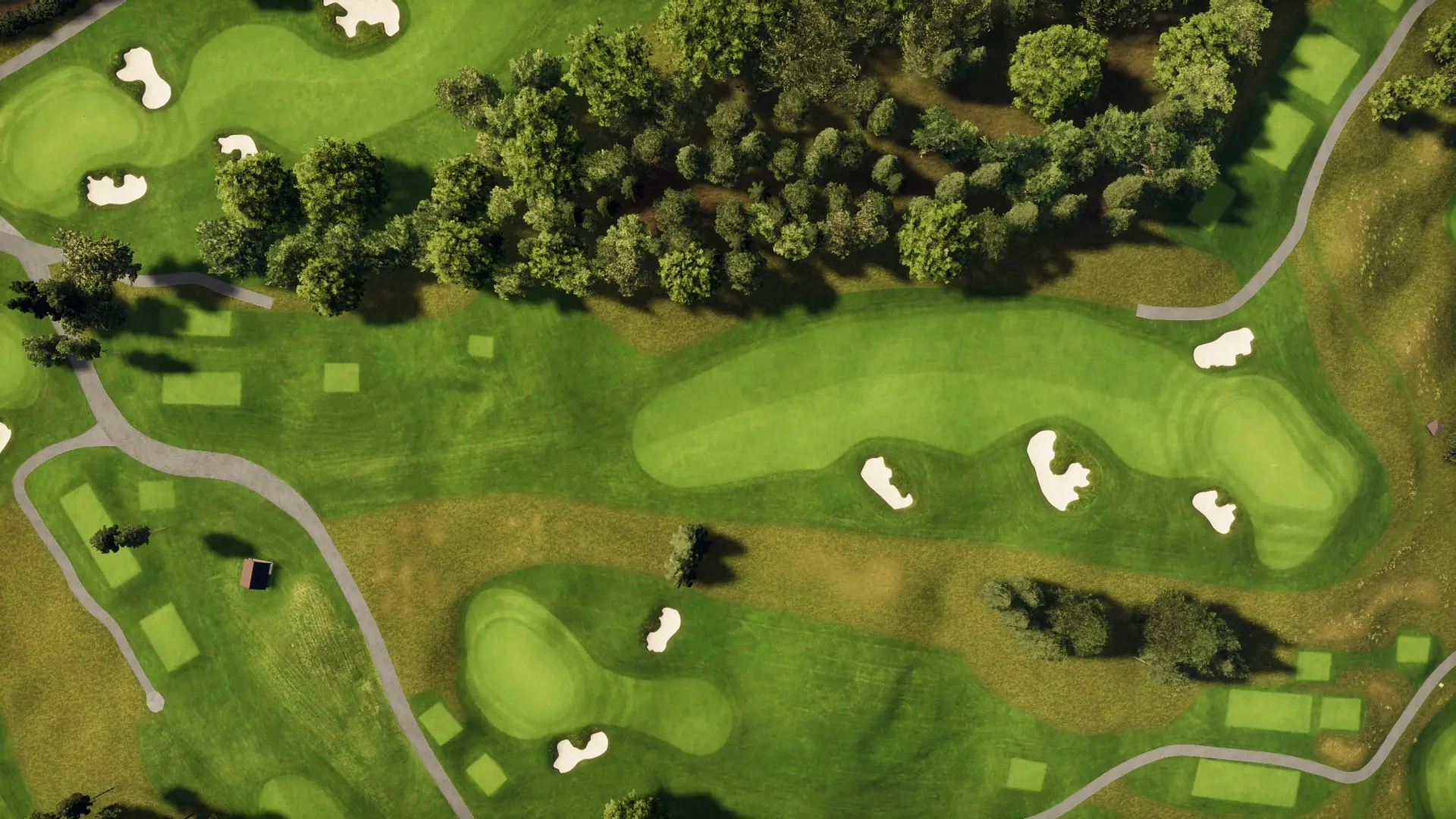 Hole 5