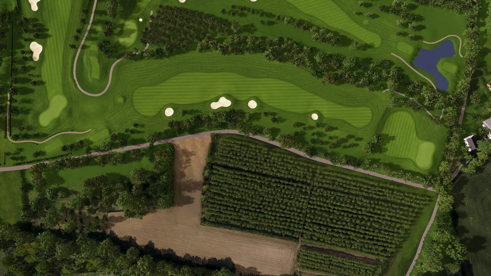 Hole 11