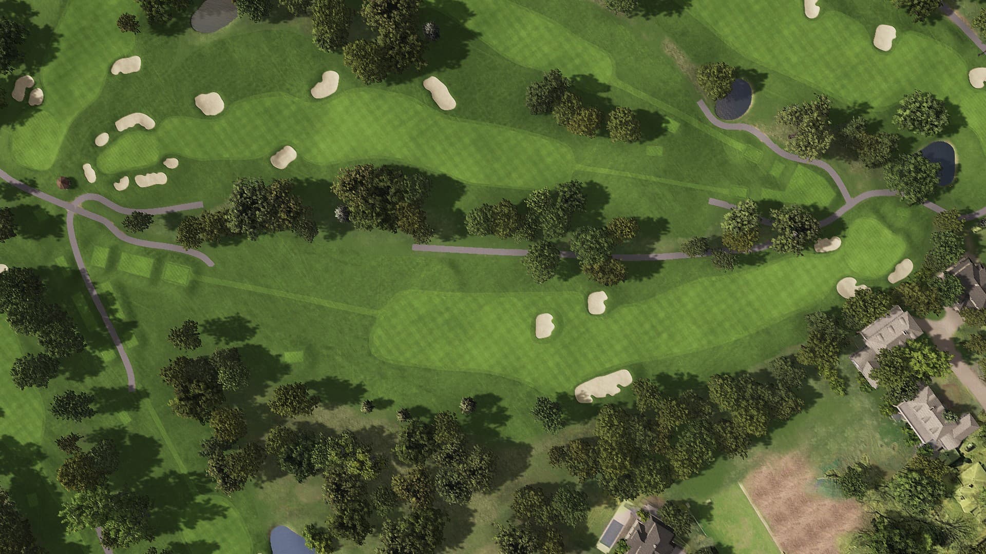 Hole 8 at Interlachen Country Club (Pre-Restoration)
