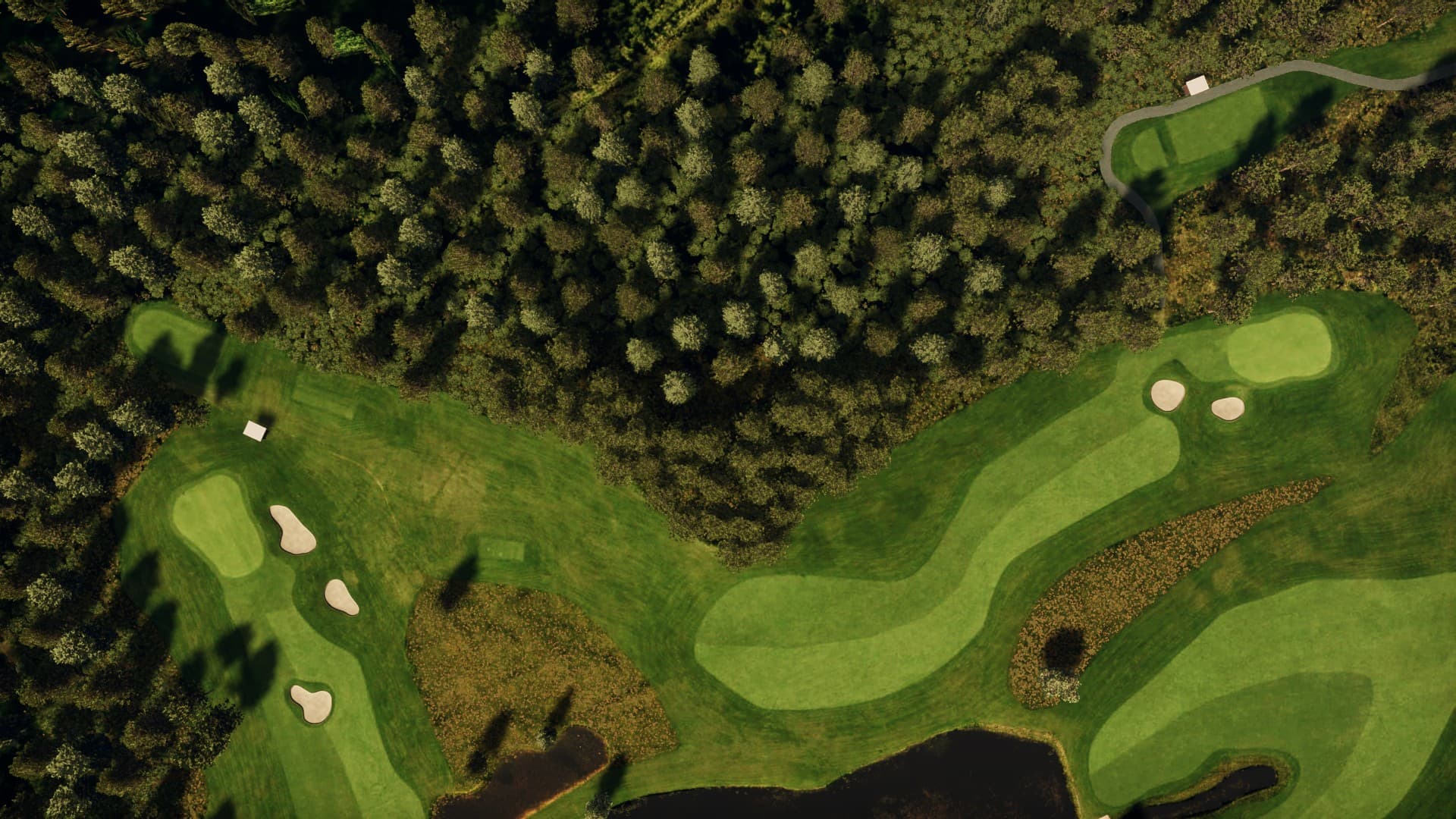 Hole 4