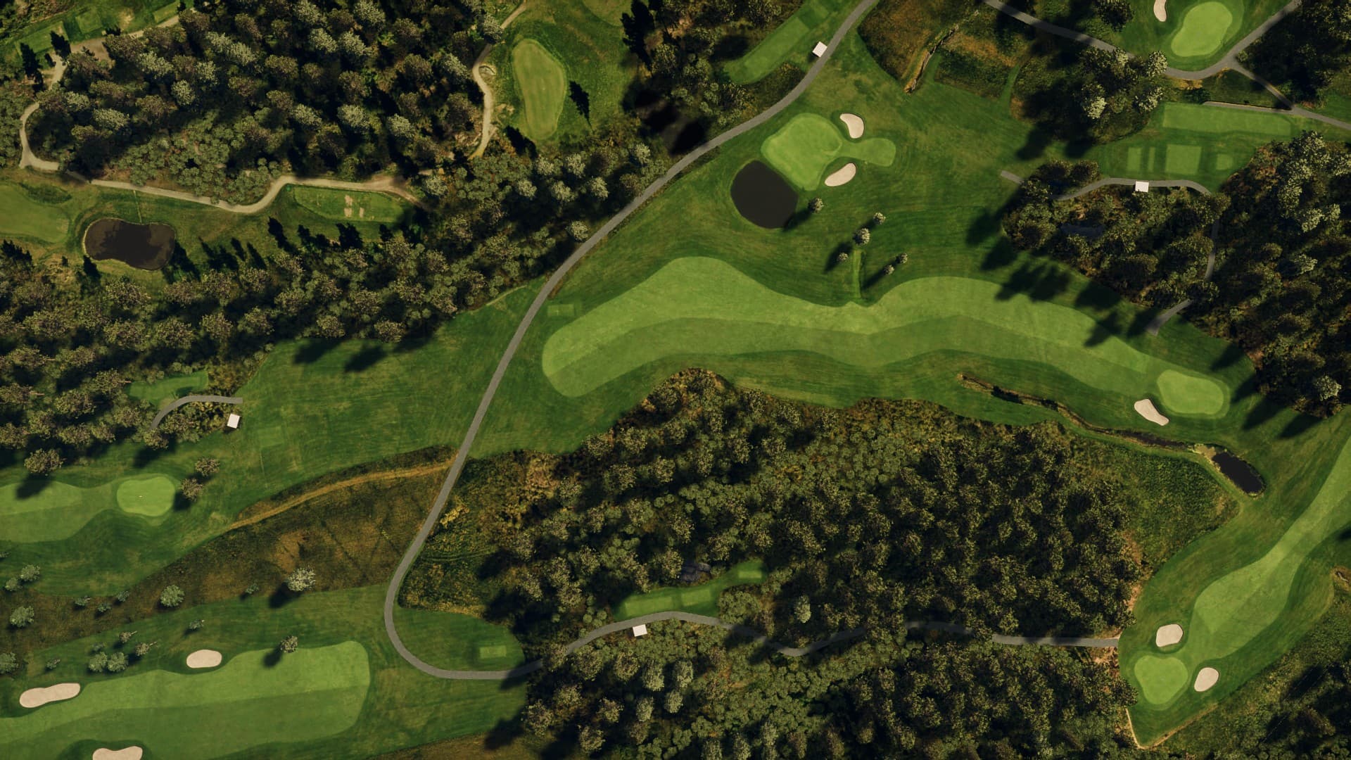 Hole 15
