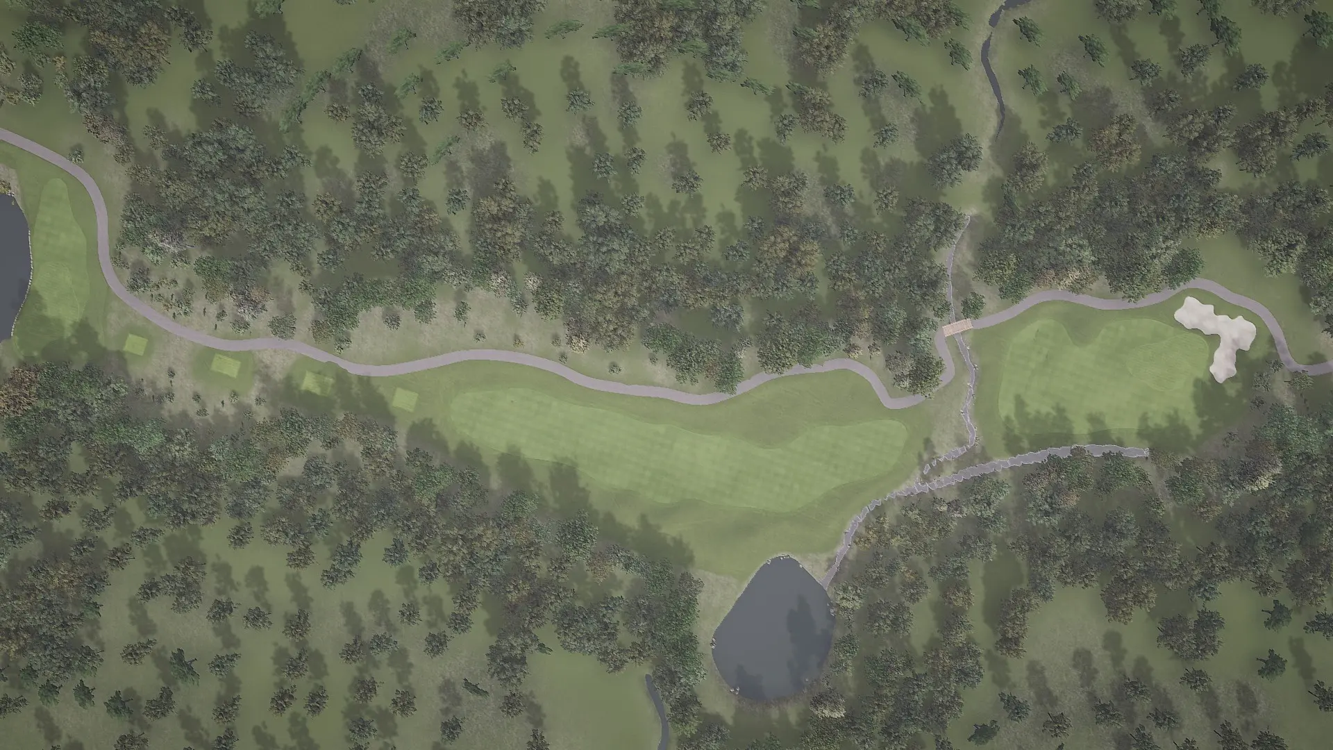 Hole 12