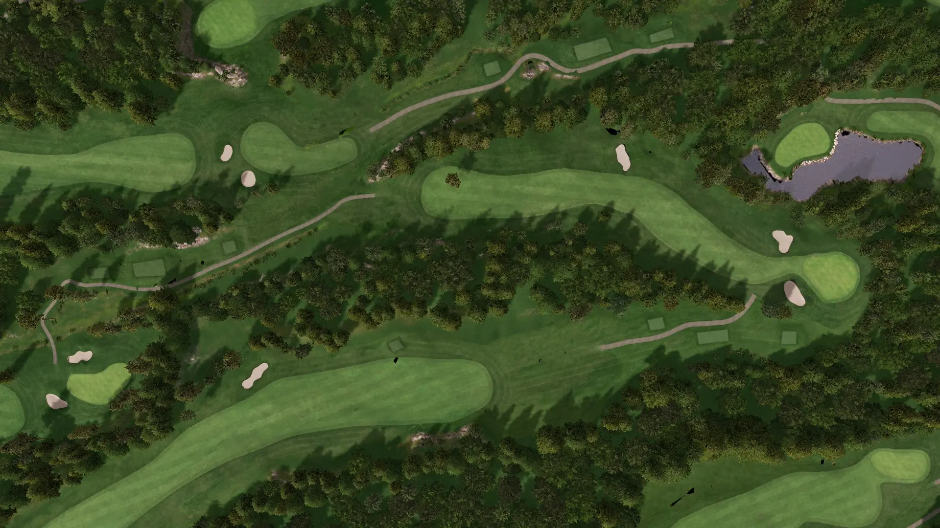 Hole 15