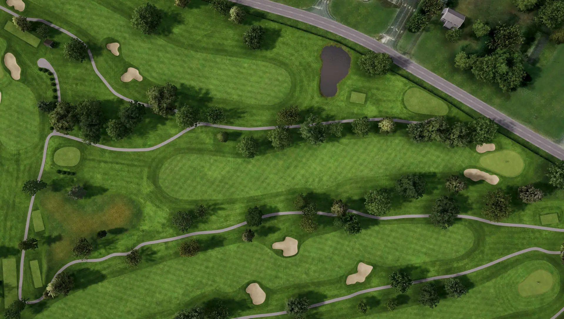 Hole 14 at The Springhaven Club