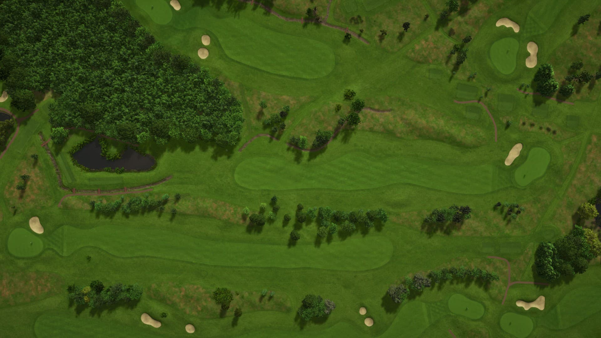 Hole 12