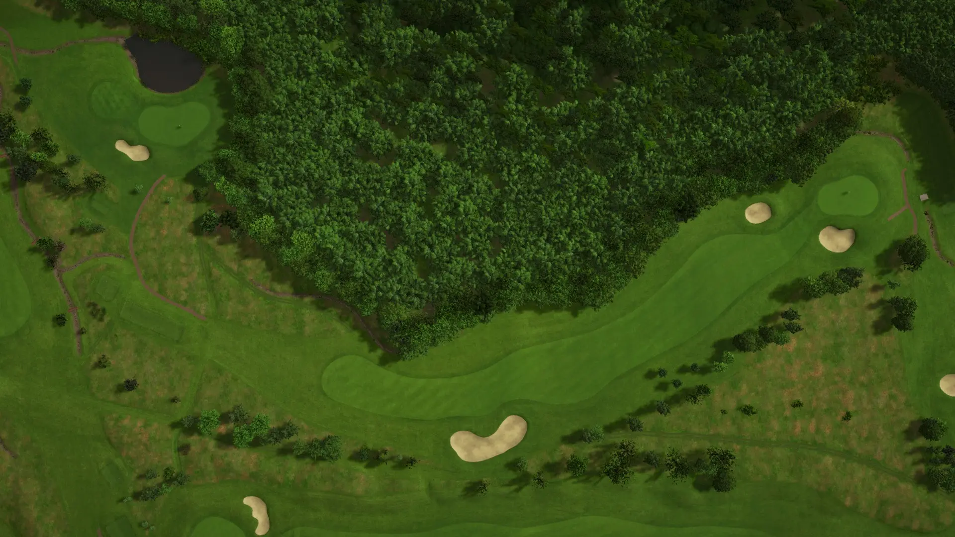 Hole 15