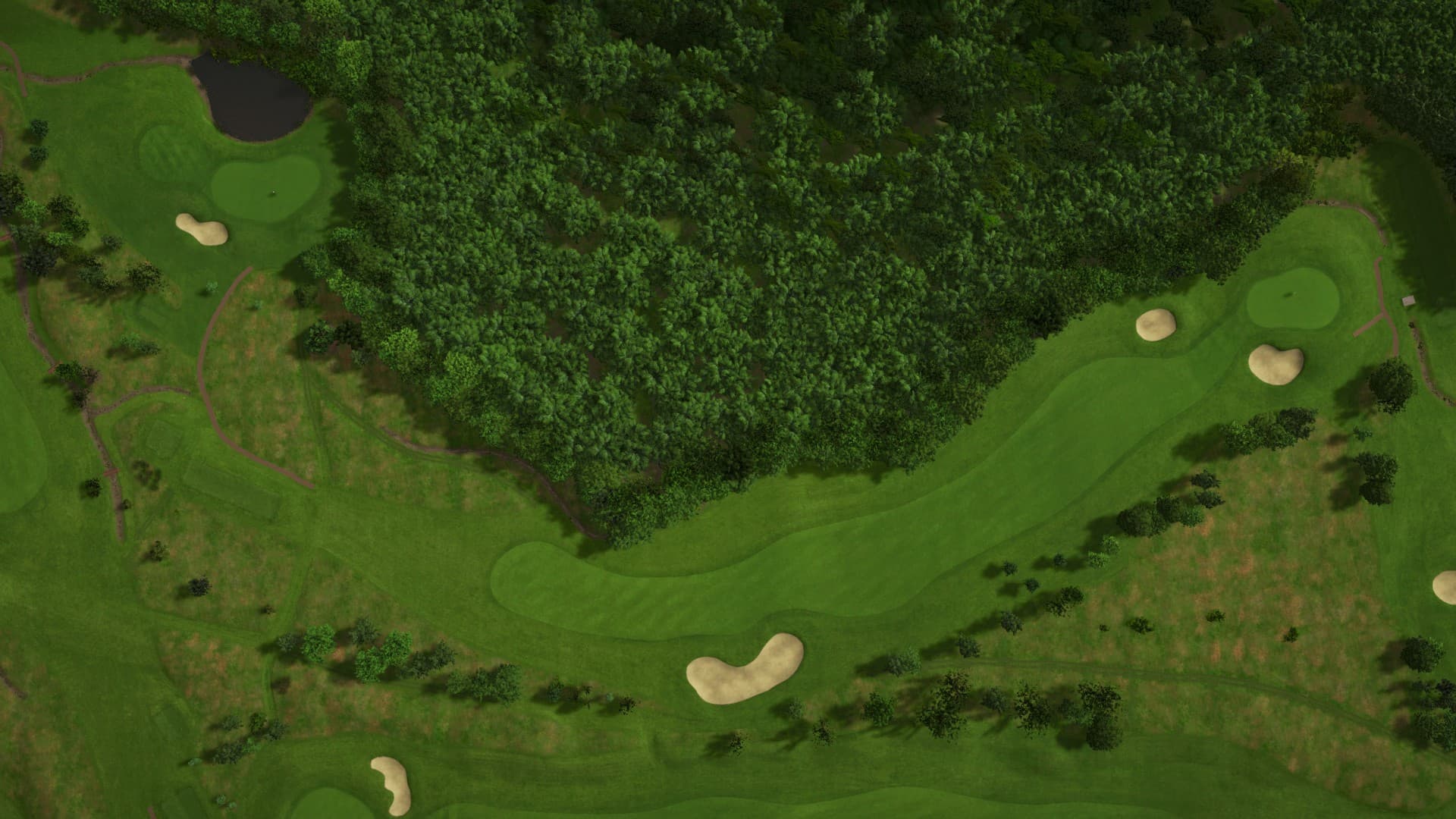 Hole 15