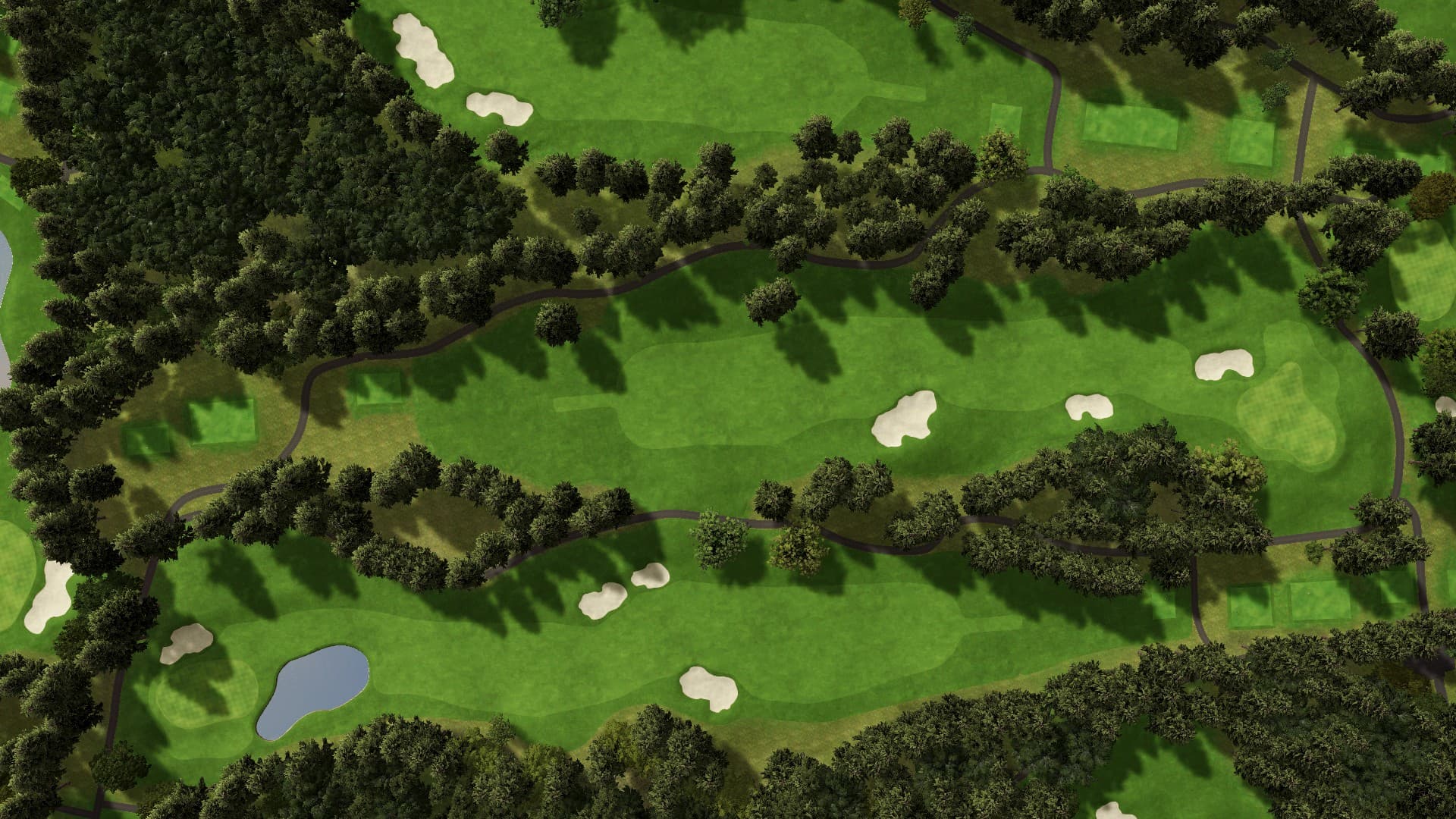 Hole 15