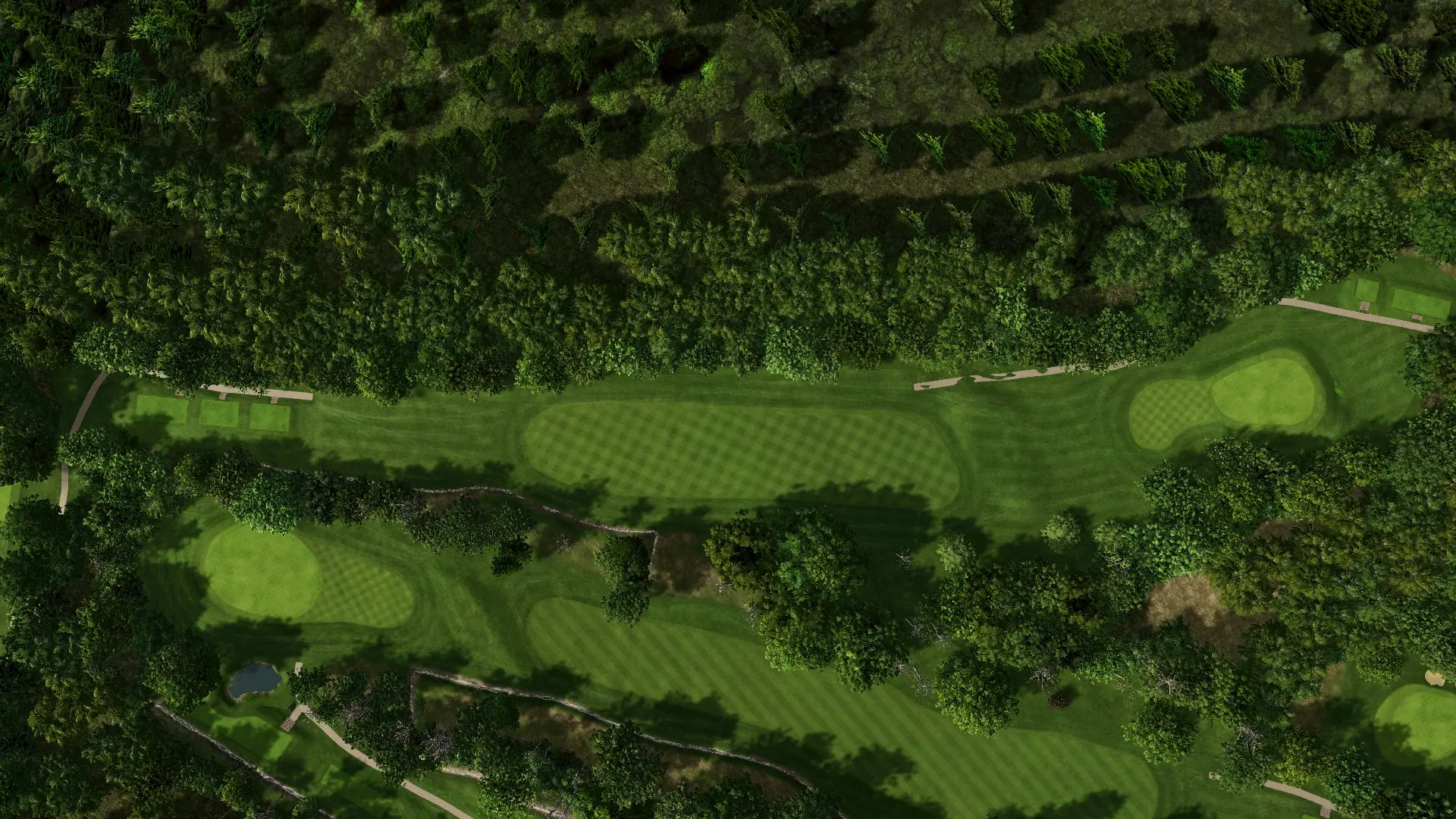 Hole 12 at The Drift Golf Club