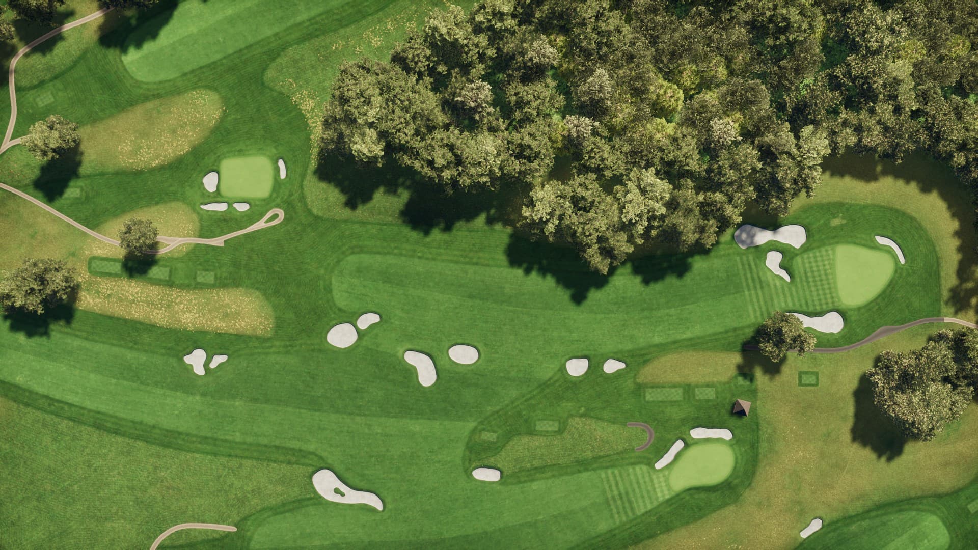 Hole 11